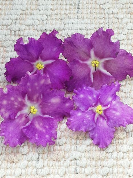 5 mar - LE Rain Melody