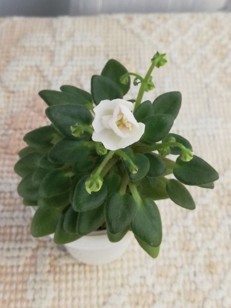 27 apr - N Liya Baby