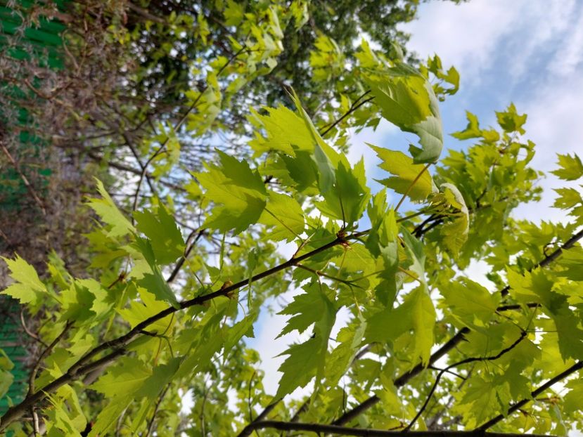  - 2022 feb martie april mai