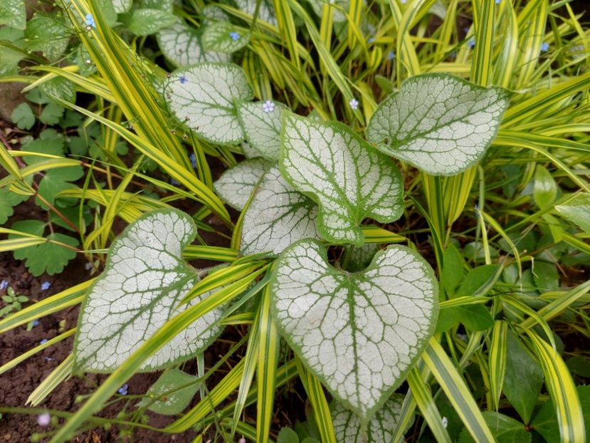  - 2022 feb martie april mai