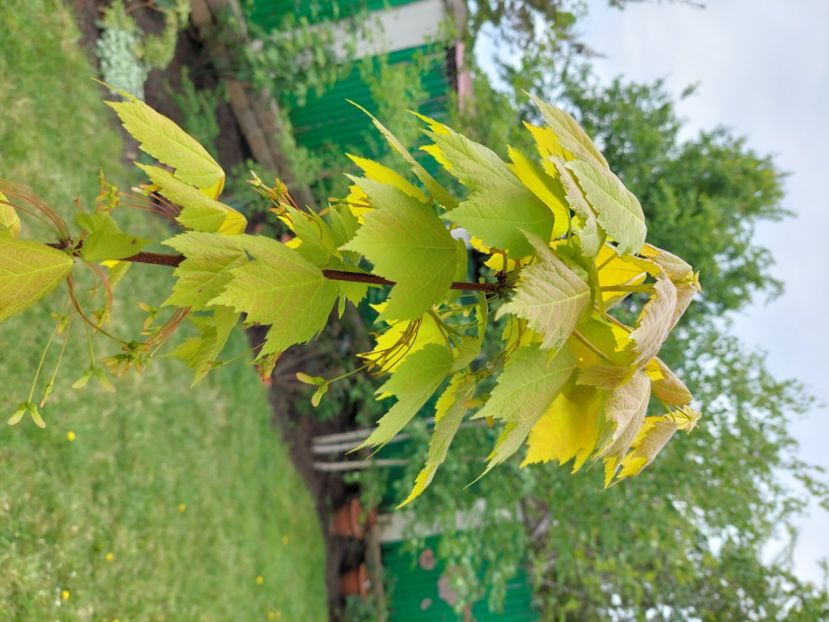  - 2022 feb martie april mai