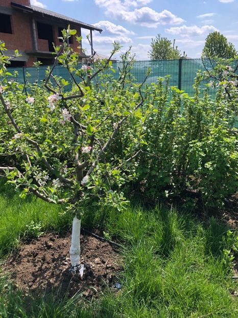 WhatsApp Image 2022-05-01 at 19.44.37 (3) - 04 1 mai 2022