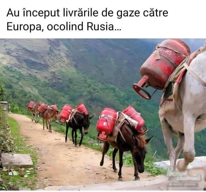  - Diverse