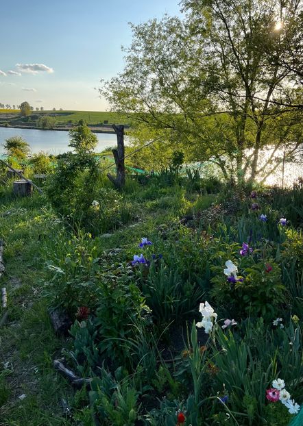 C46B86DD-1D55-4C37-A4E1-A774CE83DB50 - IRISI 2021 22