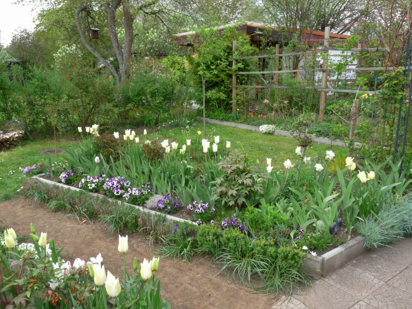  - 2022 - 01 - Primavara