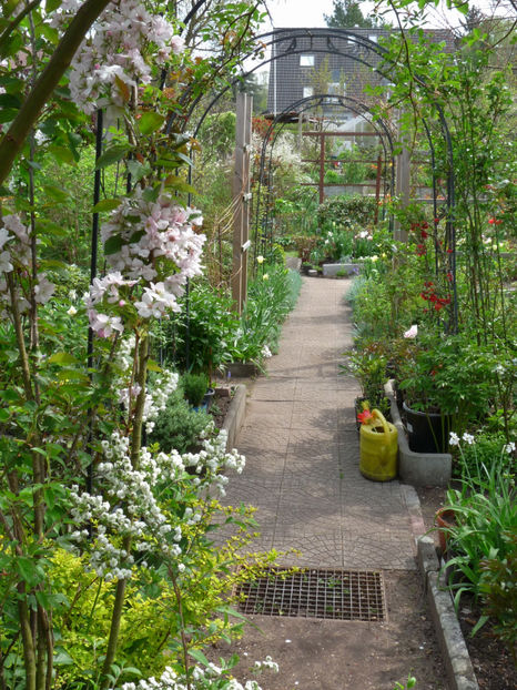  - 2022 - 01 - Primavara