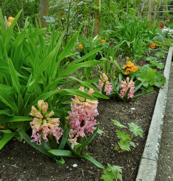  - 2022 - 01 - Primavara