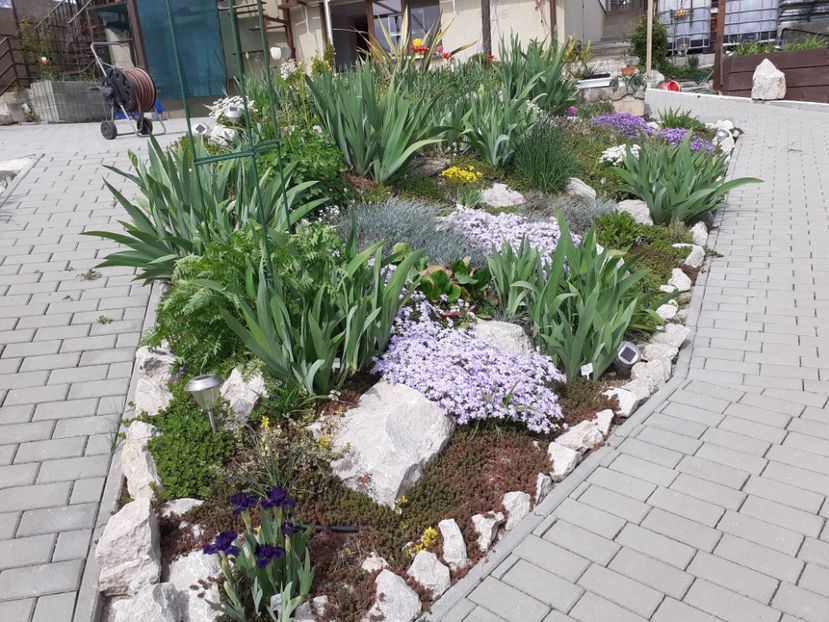  - Gradina 2022