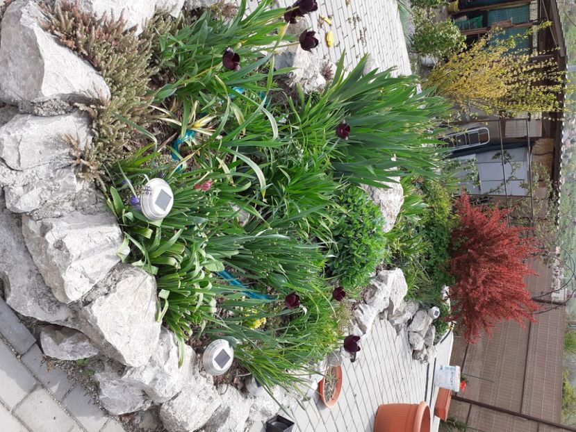  - Gradina 2022