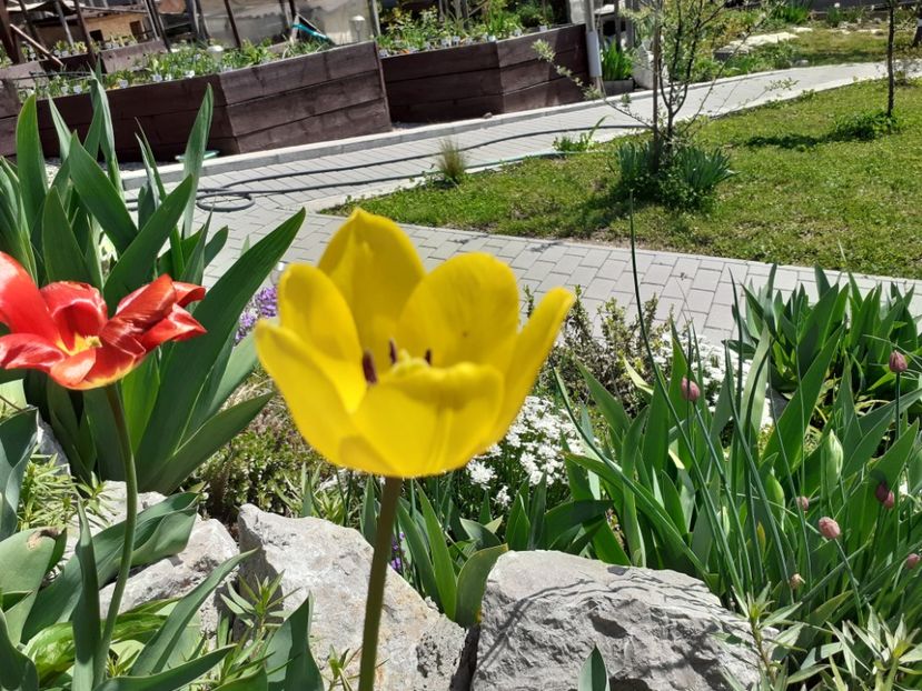  - Gradina 2022