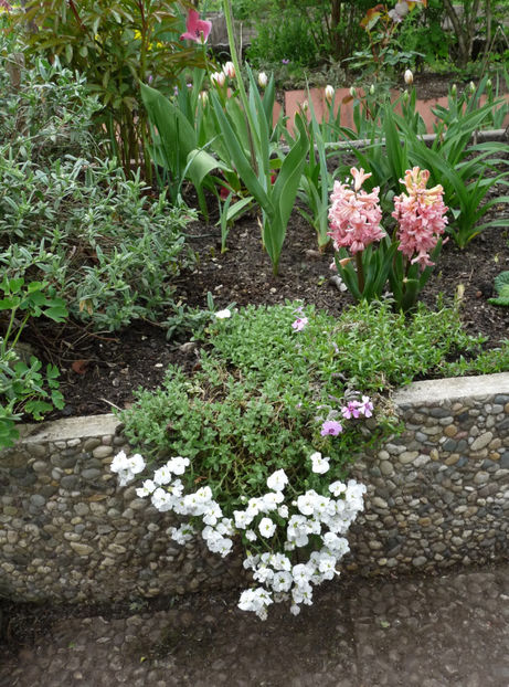  - 2022 - 01 - Primavara