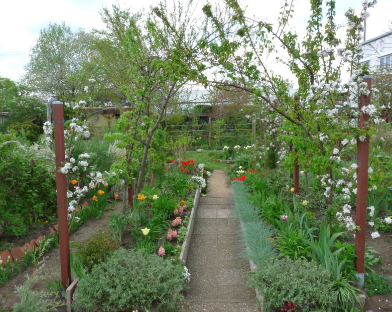  - 2022 - 01 - Primavara