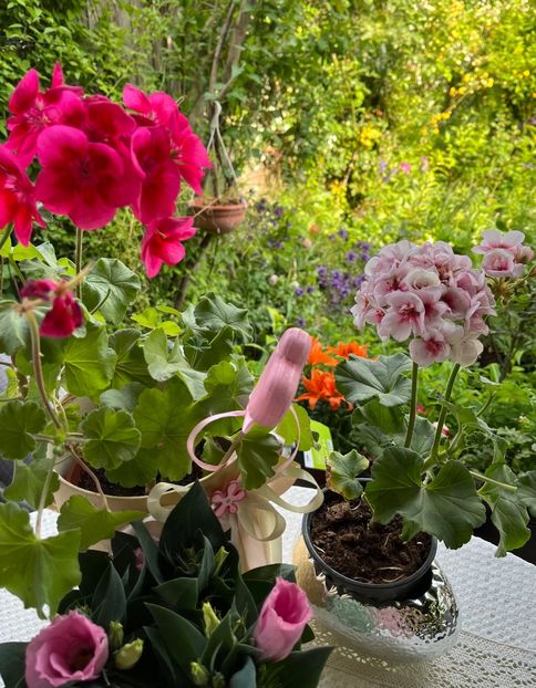 5146942A-14FD-4EAC-90A4-471C8A10CB63 - Muscate 2021 22