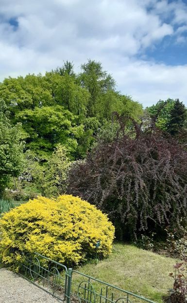  - ZZ Gradina Botanica Bucuresti