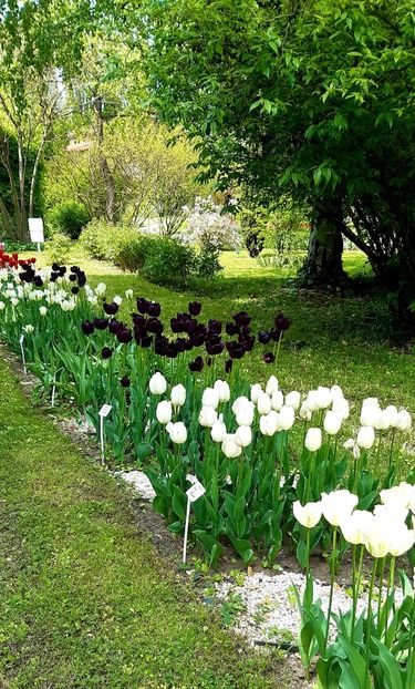  - ZZ Gradina Botanica Bucuresti