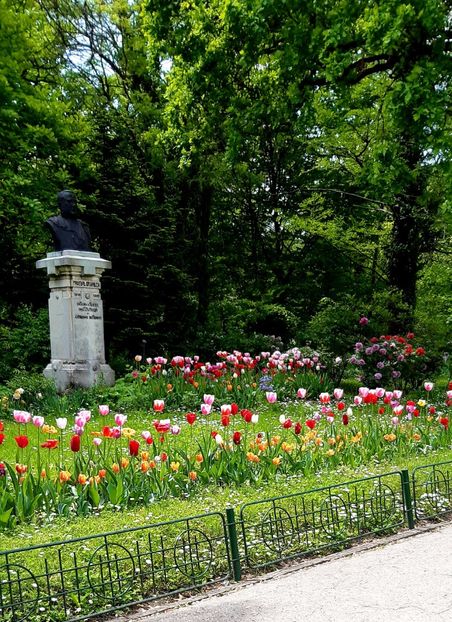  - ZZ Gradina Botanica Bucuresti