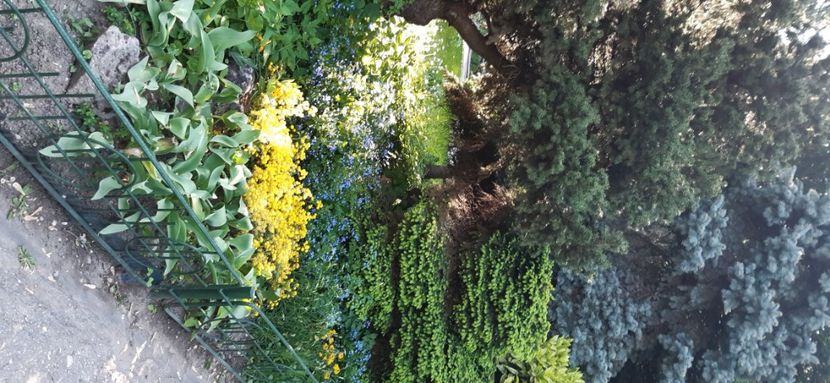  - ZZ Gradina Botanica Bucuresti