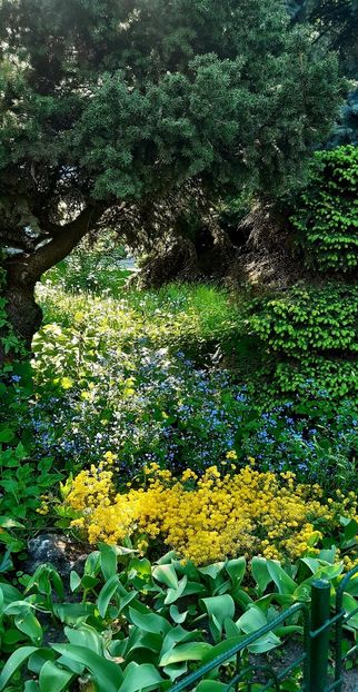  - ZZ Gradina Botanica Bucuresti