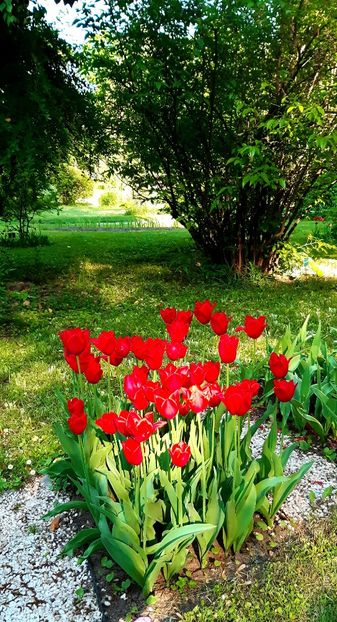  - ZZ Gradina Botanica Bucuresti