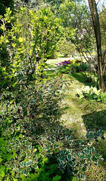  - ZZ Gradina Botanica Bucuresti