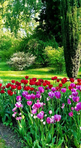  - ZZ Gradina Botanica Bucuresti