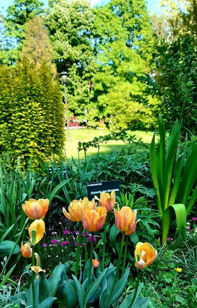  - ZZ Gradina Botanica Bucuresti