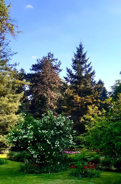  - ZZ Gradina Botanica Bucuresti