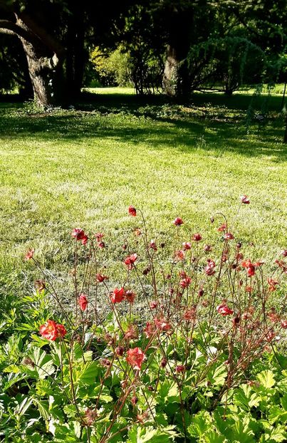  - ZZ Gradina Botanica Bucuresti