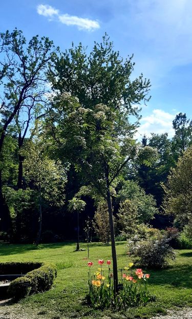  - ZZ Gradina Botanica Bucuresti