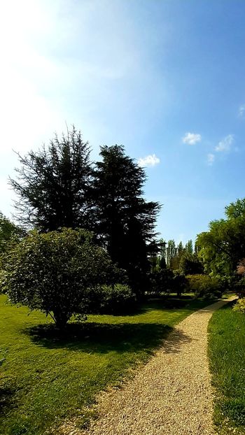  - ZZ Gradina Botanica Bucuresti