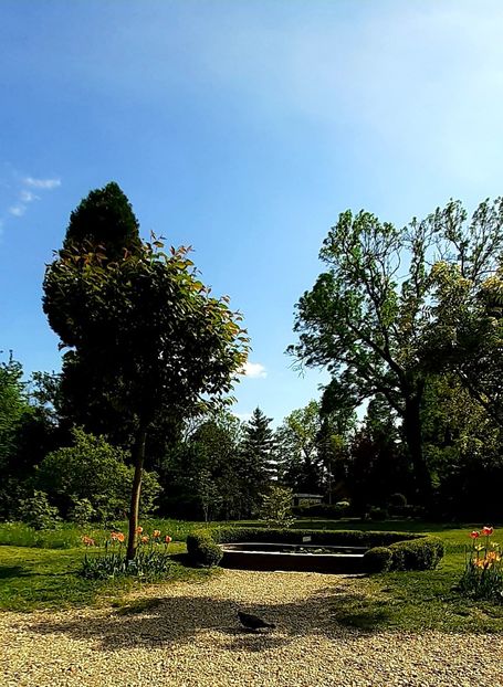  - ZZ Gradina Botanica Bucuresti