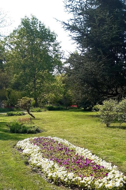  - ZZ Gradina Botanica Bucuresti