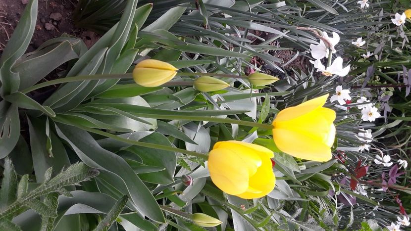 IMG-20220504-WA0003 - Heavenly