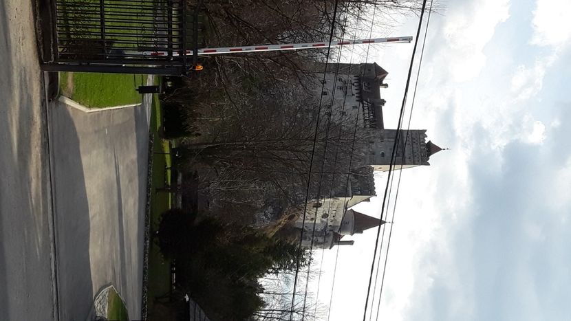 IMG-20220408-WA0098 - Heavenly