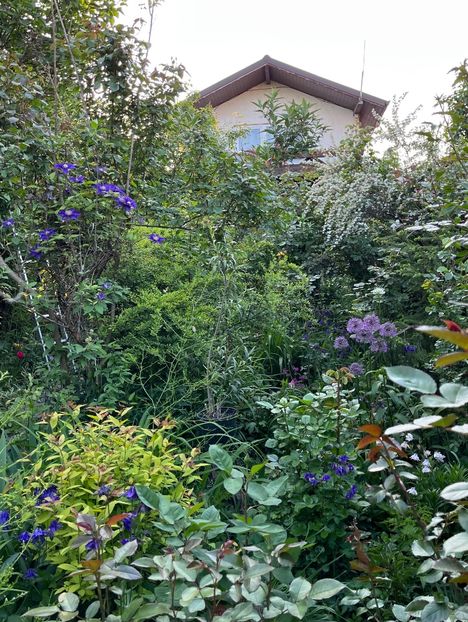 DC65BA28-178C-4D4D-B25E-8D3853CA4A45 - Caldaruse 2020-2023