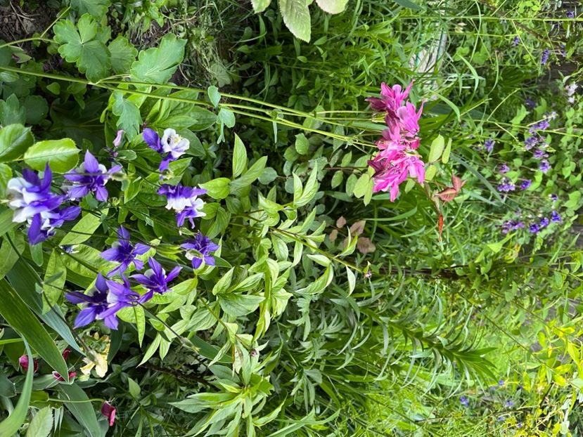 D55C93F4-D69E-4FFA-B0CE-810370C77E18 - Caldaruse 2020-2023