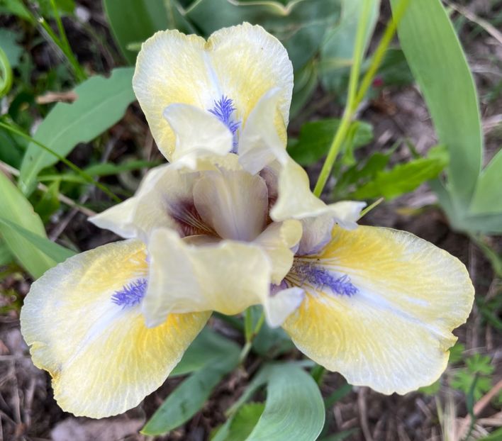 B2CDABC2-519C-4767-B735-61A25147CCAE - IRISI 2021 22