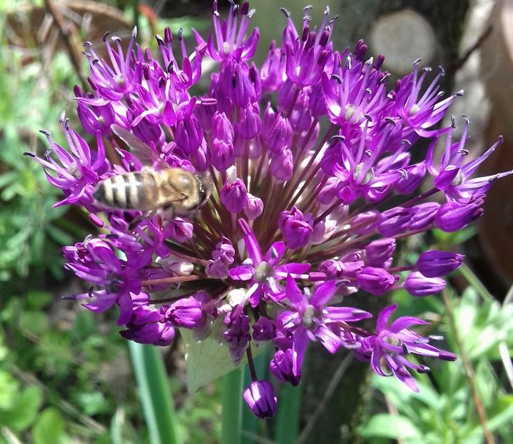 Albinuta la lucru ;) - Acasă e la mama