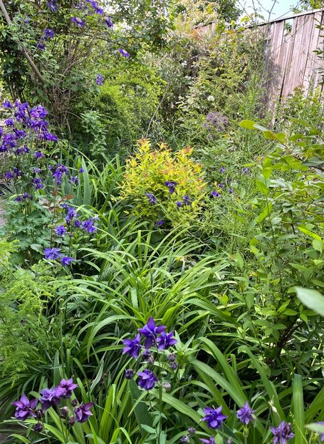 2F7DCB93-10A9-41CA-90D7-BACF4CF39BEB - Caldaruse 2020-2023