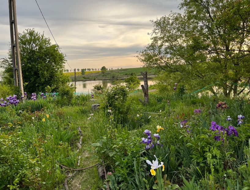 E789F2CE-4A4E-4F8E-90D6-E537C6A83FA9 - IRISI 2021 22