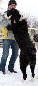 06683DEC-D092-4B8C-86C8-9BF070D17946 - O alta pasiune draga mie