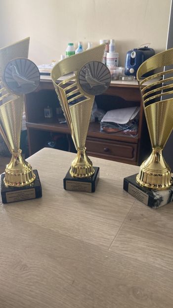 94F8DC2B-4521-4E50-AB1C-7C50BD34D6E6 - TROFEE