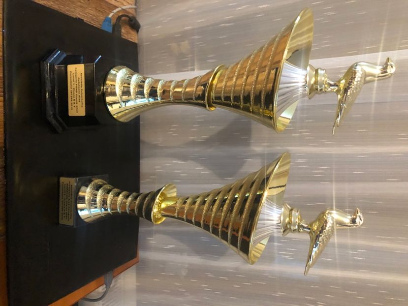 DA95C218-A2BD-446A-9FCA-94F1B1D8972D - TROFEE