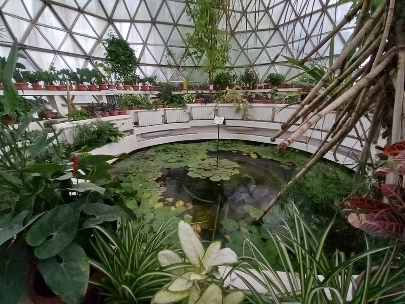  - Gradina Botanica Jibou