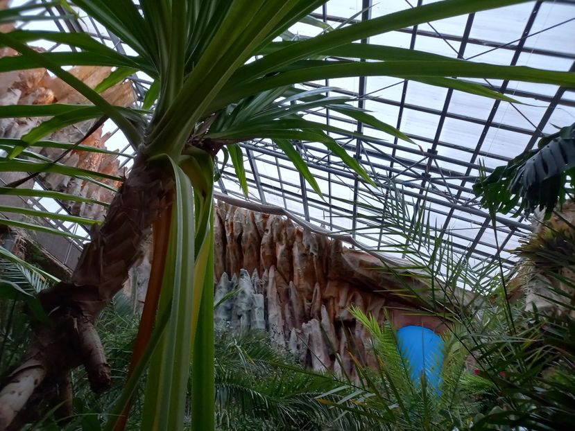  - Gradina Botanica Jibou