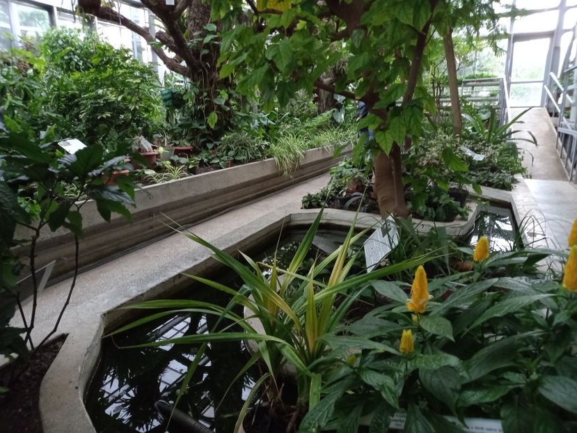  - Gradina Botanica Jibou