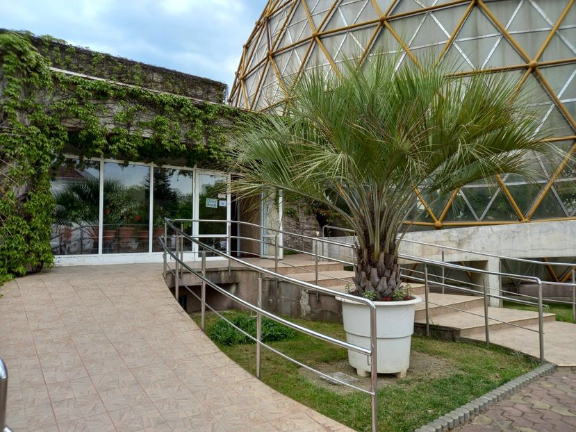  - Gradina Botanica Jibou