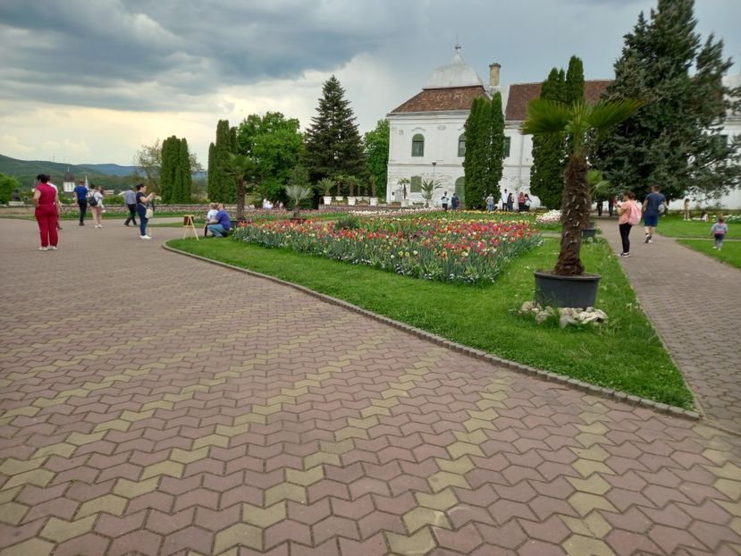  - Gradina Botanica Jibou