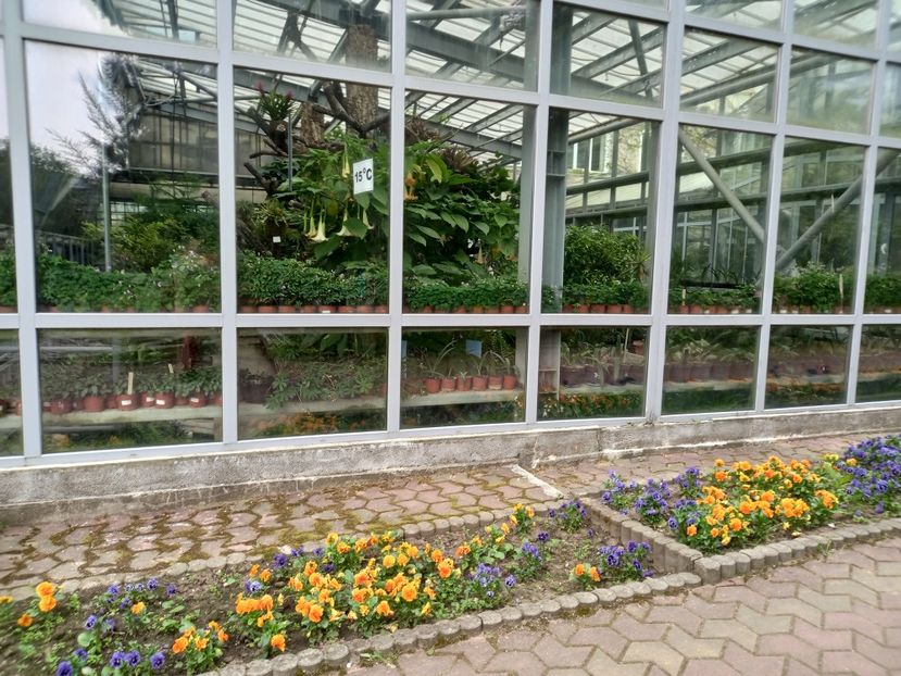  - Gradina Botanica Jibou