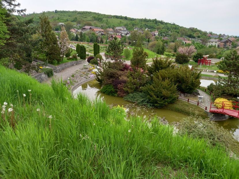  - Gradina Botanica Jibou